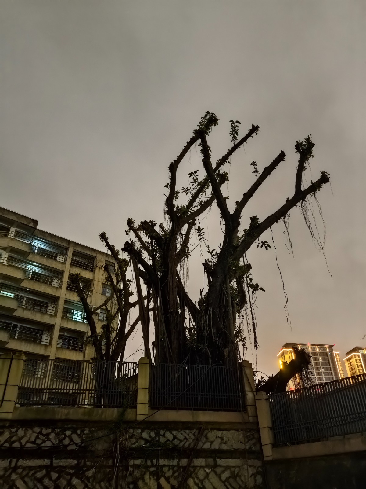 微信图片_20250604085044.jpg