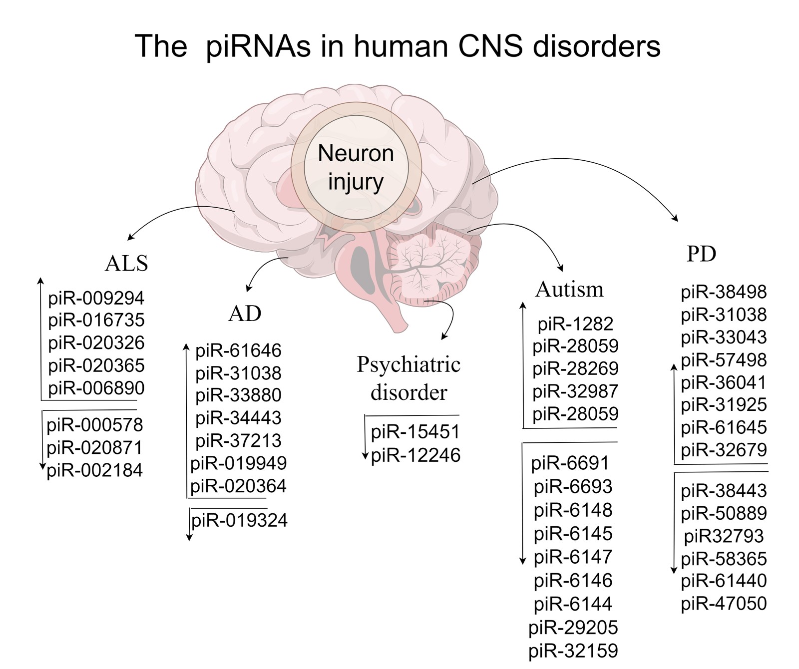 Figure2.jpg
