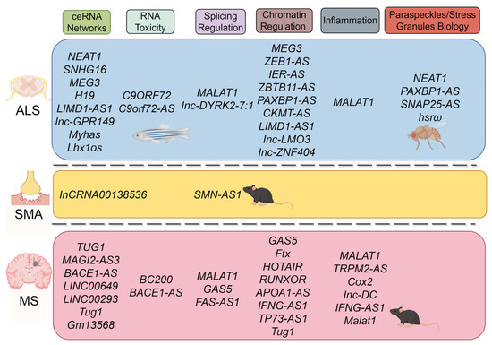 biomolecules-16-01208-g002-550.jpg